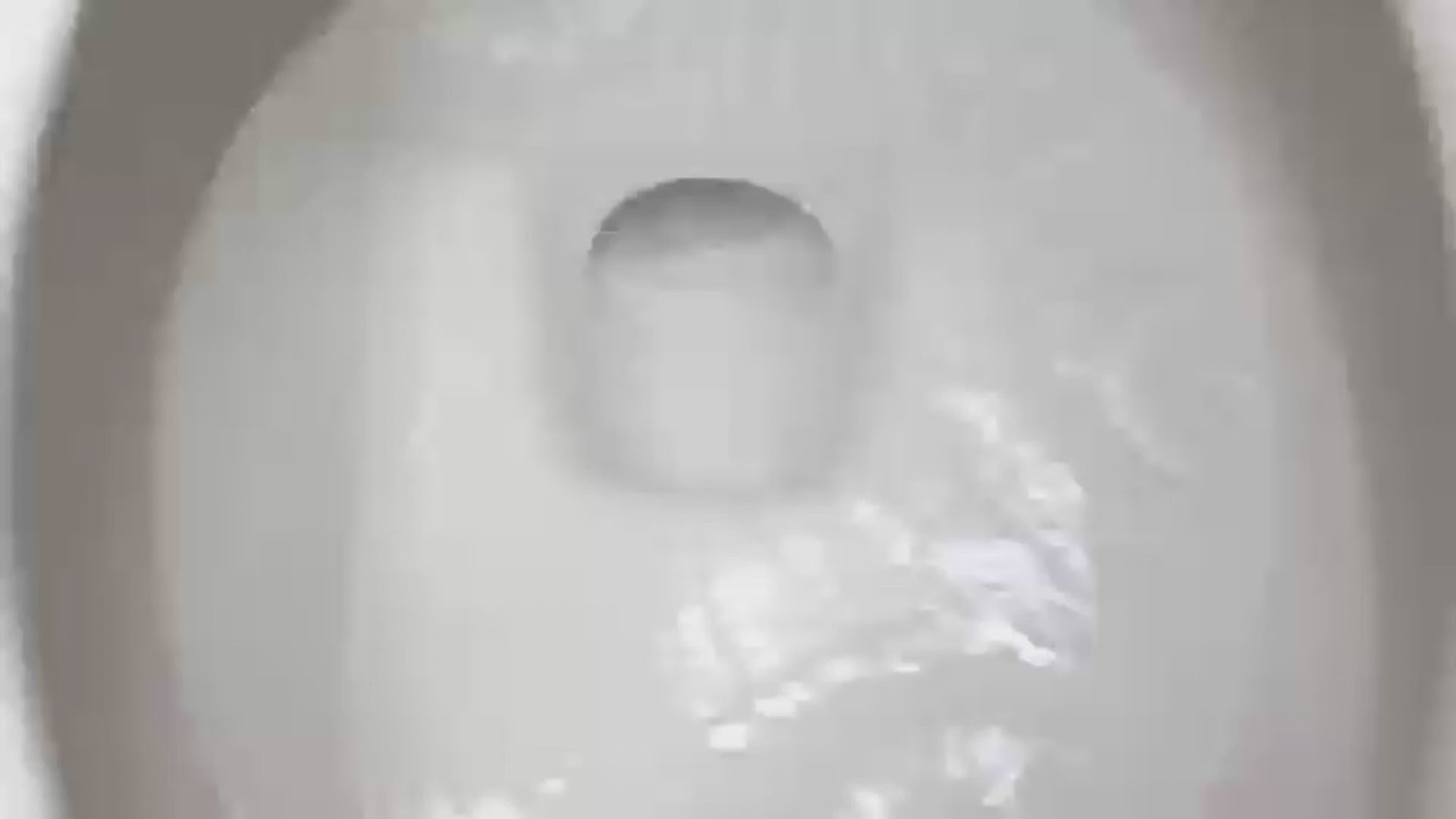 Electric UV Toilet Brush